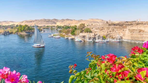 03 nights budget Nile Cruise