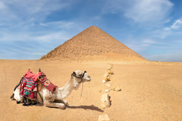 🏺✨ Ancient Pyramids & Modern Treasures | Dahshur & Grand Egyptian Museum Tour 🔺🏛️