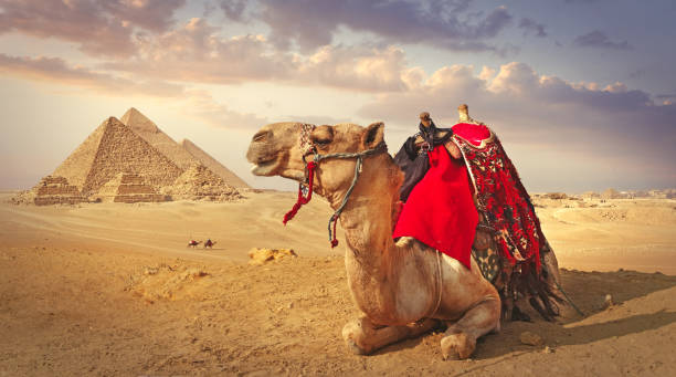 🌍✨ 15-Day Ultimate Egypt Luxury Escape | Cairo, Siwa Oasis & Nile Cruise Adventure 🏺🏜️🚢