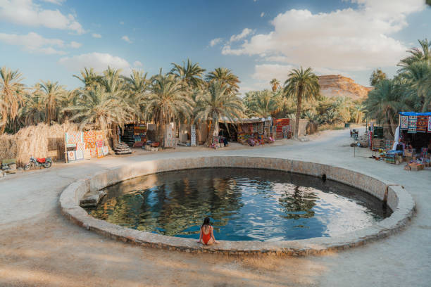 🌍✨ 15-Day Ultimate Egypt Luxury Escape | Cairo, Siwa Oasis & Nile Cruise Adventure 🏺🏜️🚢