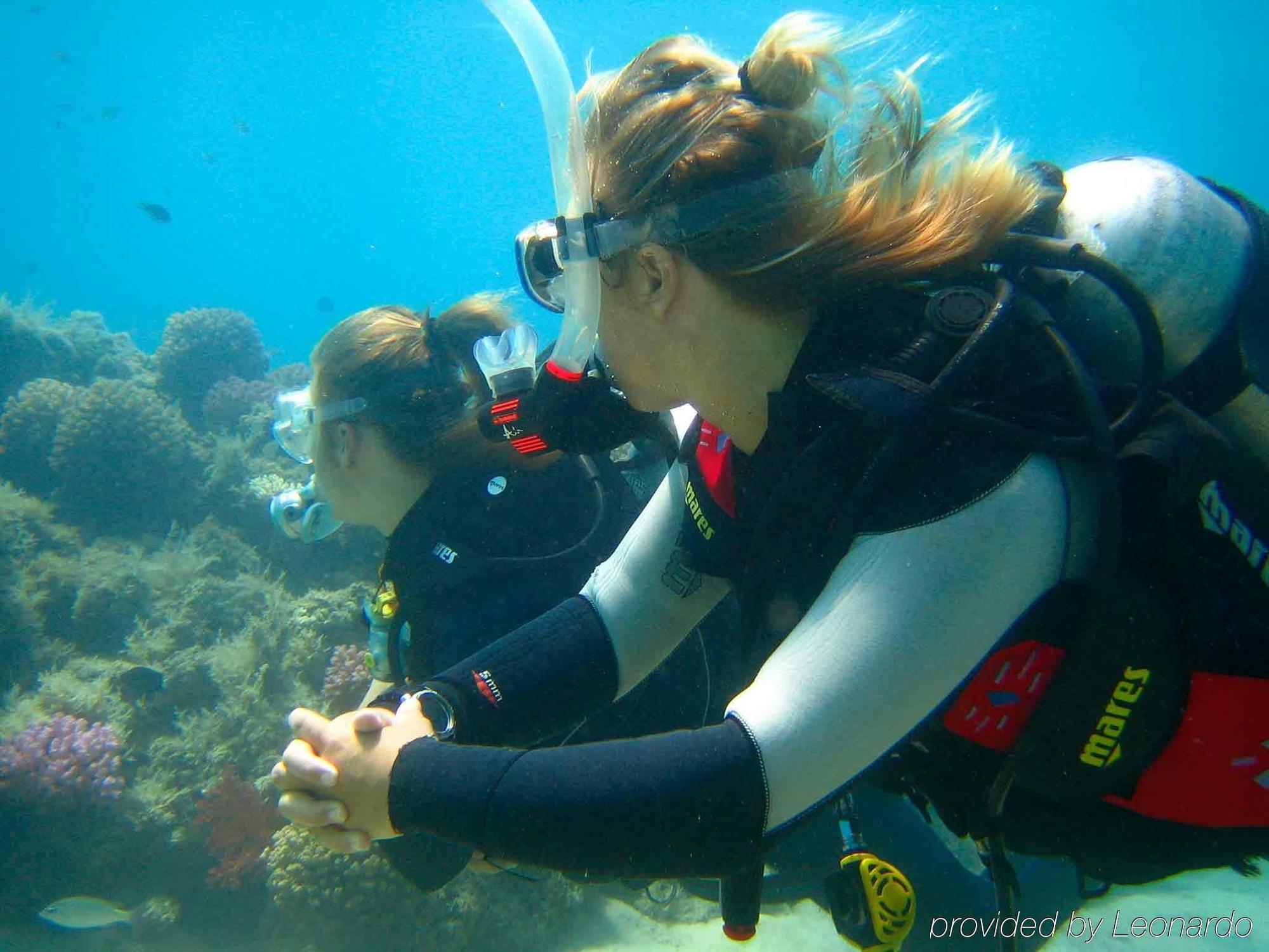 🌟 8-Day Egypt Budget Escape: Cairo Wonders & Hurghada Relaxation 🌟