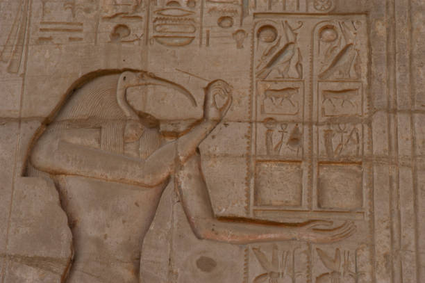 ✨ 8-Day Egypt Budget Tour – Cairo, Nile Cruise & Alexandria Adventure