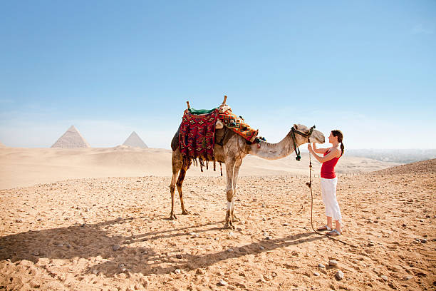 ✨ 9 Days Egypt Budget Tour Package: Cairo & Nile Cruise with Domestic Flights 🇪🇬