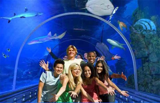 11-Day Egypt Tour Package | Cairo, Nile Cruise & Hurghada Red Sea Escape