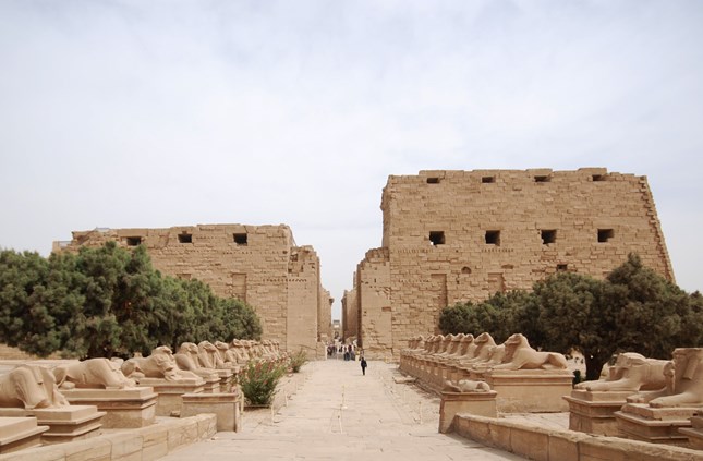 11-Day Egypt Tour Package | Cairo, Nile Cruise & Hurghada Red Sea Escape
