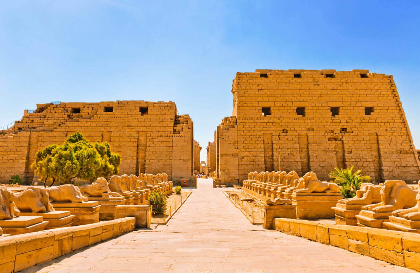11-Day Egypt Tour Package | Cairo, Alexandria, Luxor & Hurghada