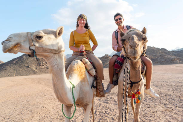 Epic 11-Day Egypt Desert & Coastal Adventure | Cairo, Alexandria, El Alamein & Siwa Oasis