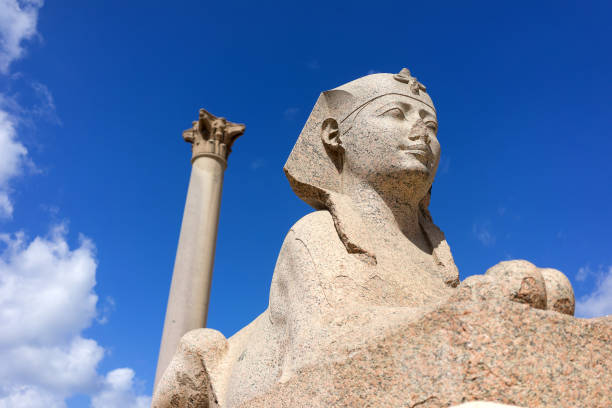 Epic 11-Day Egypt Desert & Coastal Adventure | Cairo, Alexandria, El Alamein & Siwa Oasis