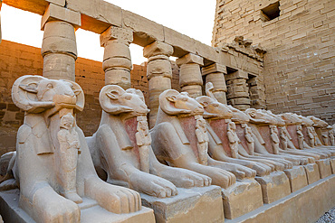 ✈️ 3-Day Aswan & Luxor Tour from Cairo by Flight