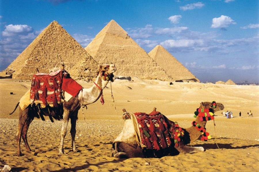 🇪🇬 6 Days Cairo Budget Tour: Pyramids, Museums & Islamic Heritage