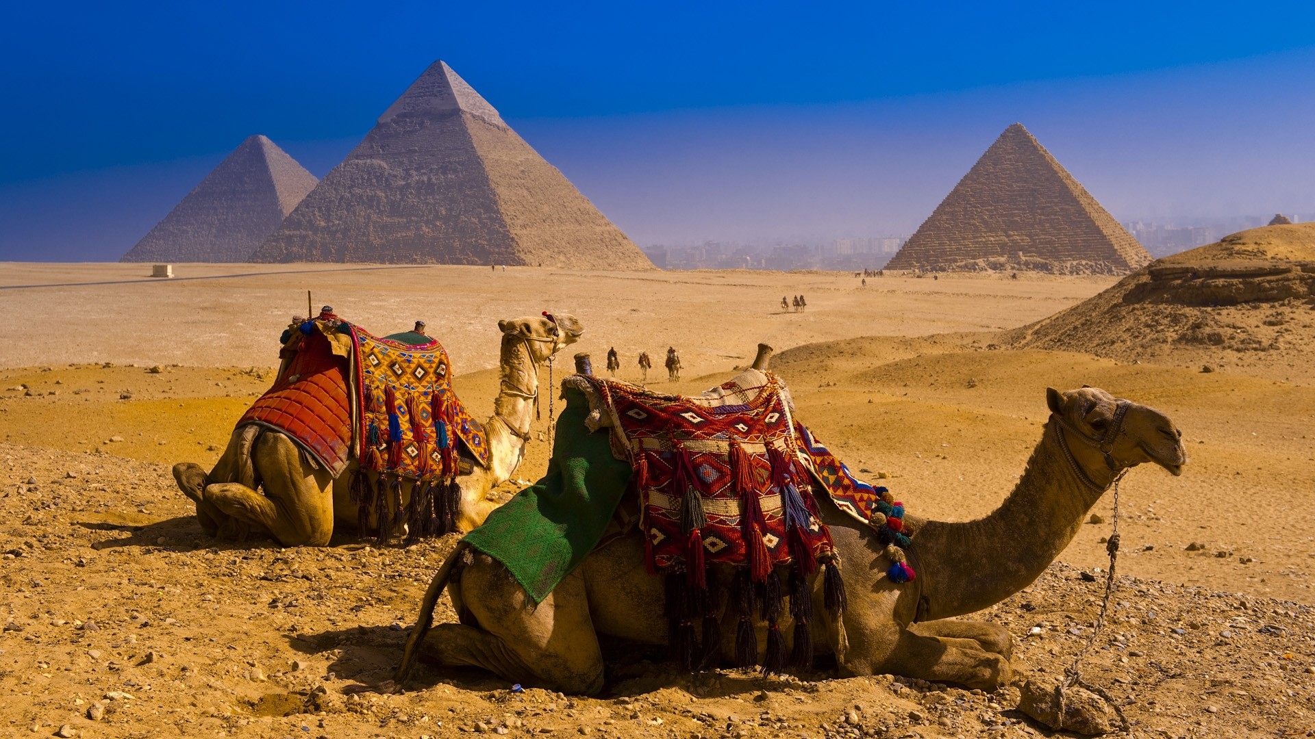 🇪🇬 6 Days Egypt Highlights Tour: Cairo, Luxor, Aswan & Abu Simbel