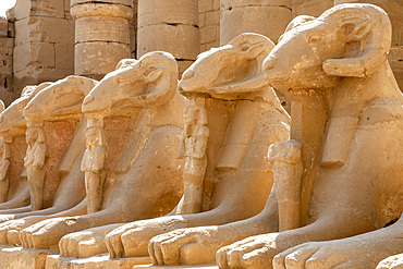 ✨ 5 Days Cairo, Luxor & Aswan Highlights Tour Package ✈️🏺