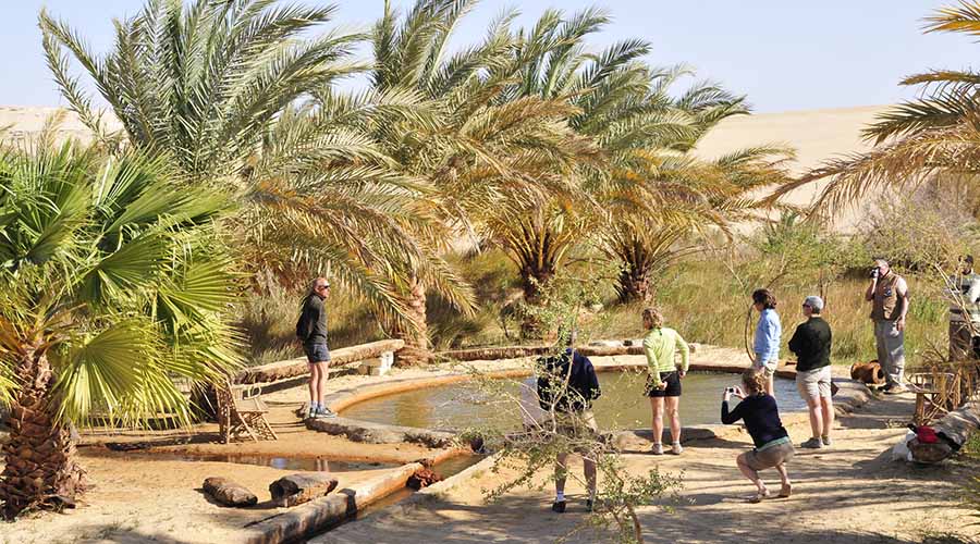 🌴 5 Days Egypt Budget Tour to Cairo & Siwa Oasis 🏺