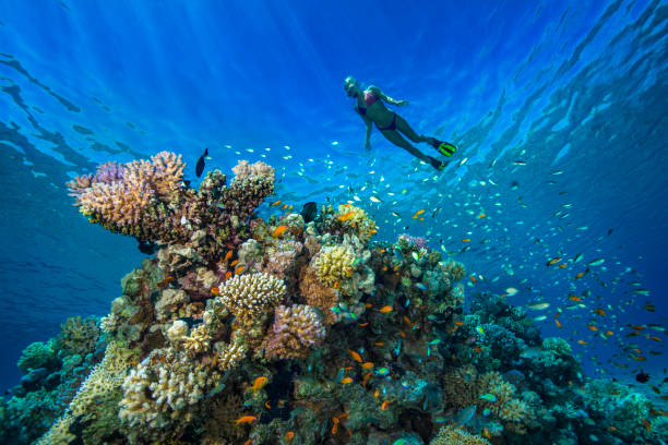 🌟 12 Days Egypt Budget Tour: Cairo, Luxor & Hurghada Escape with Alexandria Adventure