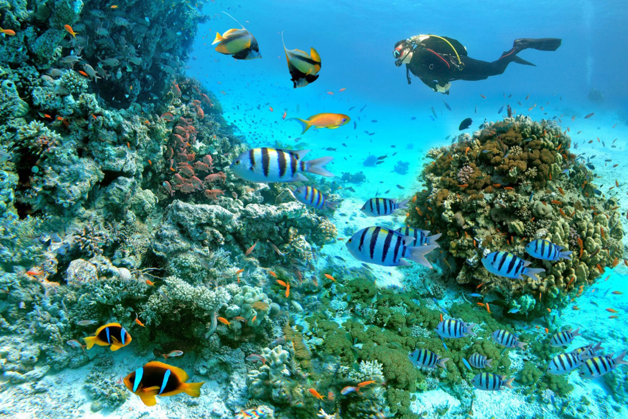 12 Days Egypt Budget Tour – Cairo, Luxor & Hurghada: Ancient Wonders & Red Sea Escape